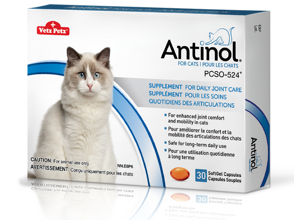 Antinol® pour chats