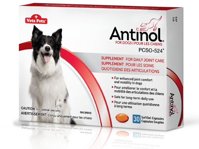 Antinol® pour chiens