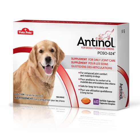 Antinol® for Dogs